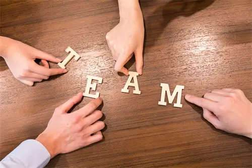 竹子送人含义是什么